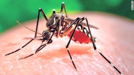 zika 160128185001-zika-mutant-male-mosquitos-mclaughlin-pkg-00020830-large-169